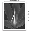 image:imageAmericanflat 20x30 Poster Frame  White Engineered Wood with Polished Plexiglass  Wide Picture Frame for Vertical or Horizontal Wall Display  Epic Collection  White  Polished plexiglass front hangs vertical or horizontal sawtooth hangers included fits photos posters and artWhite