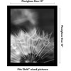 image:imageAmericanflat 20x30 Poster Frame  White Engineered Wood with Polished Plexiglass  Wide Picture Frame for Vertical or Horizontal Wall Display  Epic Collection  White  Polished plexiglass front hangs vertical or horizontal sawtooth hangers included fits photos posters and artBlack