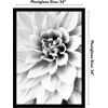image:imageAmericanflat 20x30 Poster Frame  White Engineered Wood with Polished Plexiglass  Wide Picture Frame for Vertical or Horizontal Wall Display  Epic Collection  White  Polished plexiglass front hangs vertical or horizontal sawtooth hangers included fits photos posters and artBlack