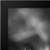image:imageAmericanflat 20x30 Poster Frame  White Engineered Wood with Polished Plexiglass  Wide Picture Frame for Vertical or Horizontal Wall Display  Epic Collection  White  Polished plexiglass front hangs vertical or horizontal sawtooth hangers included fits photos posters and artBlack