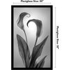 image:imageAmericanflat 20x30 Poster Frame  White Engineered Wood with Polished Plexiglass  Wide Picture Frame for Vertical or Horizontal Wall Display  Epic Collection  White  Polished plexiglass front hangs vertical or horizontal sawtooth hangers included fits photos posters and artBlack
