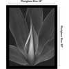 image:imageAmericanflat 20x30 Poster Frame  White Engineered Wood with Polished Plexiglass  Wide Picture Frame for Vertical or Horizontal Wall Display  Epic Collection  White  Polished plexiglass front hangs vertical or horizontal sawtooth hangers included fits photos posters and artBlack