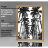 image:imageAmericanflat 20x30 Poster Frame  White Engineered Wood with Polished Plexiglass  Wide Picture Frame for Vertical or Horizontal Wall Display  Epic Collection  White  Polished plexiglass front hangs vertical or horizontal sawtooth hangers included fits photos posters and artPine
