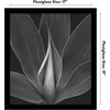 image:imageAmericanflat 20x30 Poster Frame  White Engineered Wood with Polished Plexiglass  Wide Picture Frame for Vertical or Horizontal Wall Display  Epic Collection  White  Polished plexiglass front hangs vertical or horizontal sawtooth hangers included fits photos posters and artBlack