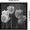 image:imageAmericanflat 20x30 Poster Frame  White Engineered Wood with Polished Plexiglass  Wide Picture Frame for Vertical or Horizontal Wall Display  Epic Collection  White  Polished plexiglass front hangs vertical or horizontal sawtooth hangers included fits photos posters and artBlack