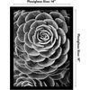 image:imageAmericanflat 20x30 Poster Frame  White Engineered Wood with Polished Plexiglass  Wide Picture Frame for Vertical or Horizontal Wall Display  Epic Collection  White  Polished plexiglass front hangs vertical or horizontal sawtooth hangers included fits photos posters and artBlack