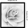 image:imageAmericanflat 20x30 Poster Frame  White Engineered Wood with Polished Plexiglass  Wide Picture Frame for Vertical or Horizontal Wall Display  Epic Collection  White  Polished plexiglass front hangs vertical or horizontal sawtooth hangers included fits photos posters and artBlack