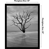 image:imageAmericanflat 20x30 Poster Frame  White Engineered Wood with Polished Plexiglass  Wide Picture Frame for Vertical or Horizontal Wall Display  Epic Collection  White  Polished plexiglass front hangs vertical or horizontal sawtooth hangers included fits photos posters and artBlack