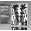 image:imageAmericanflat 20x30 Poster Frame  White Engineered Wood with Polished Plexiglass  Wide Picture Frame for Vertical or Horizontal Wall Display  Epic Collection  White  Polished plexiglass front hangs vertical or horizontal sawtooth hangers included fits photos posters and artGray