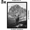 image:imageAmericanflat 4x6 Picture Frame 5Pack  Slim Molding  Black  Polished plexiglass front wall or tabletop display with included easel triangle hangers included secure turntab backingBlack