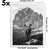image:imageAmericanflat 4x6 Picture Frame 5Pack  Slim Molding  Black  Polished plexiglass front wall or tabletop display with included easel triangle hangers included secure turntab backingWhite