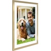 image:imageAmericanflat 8x8 Picture Frame  Matted to 5x5  Engineered Wood  White  Shatterresistant glass wall or tabletop display with included easel sawtooth hangers included secure turntab backingGold
