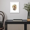 image:imageAmericanflat 11x14 Picture Frame with ShatterResistant Glass  Use as 8x10 Frame with Mat or Display 11x14 Photo Without Mat  Signature Collection  Picture Frames for Wall Display  Driftwood  Engineered Wood construction Shatterresistant glass hangs vertical or horizontal sawtooth hangers includedWhite