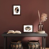 image:imageAmericanflat 11x14 Picture Frame with ShatterResistant Glass  Use as 8x10 Frame with Mat or Display 11x14 Photo Without Mat  Signature Collection  Picture Frames for Wall Display  Driftwood  Engineered Wood construction Shatterresistant glass hangs vertical or horizontal sawtooth hangers includedWalnut