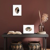 image:imageAmericanflat 11x14 Picture Frame with ShatterResistant Glass  Use as 8x10 Frame with Mat or Display 11x14 Photo Without Mat  Signature Collection  Picture Frames for Wall Display  Driftwood  Engineered Wood construction Shatterresistant glass hangs vertical or horizontal sawtooth hangers includedWhite