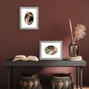 image:imageAmericanflat 11x14 Picture Frame with ShatterResistant Glass  Use as 8x10 Frame with Mat or Display 11x14 Photo Without Mat  Signature Collection  Picture Frames for Wall Display  Driftwood  Engineered Wood construction Shatterresistant glass hangs vertical or horizontal sawtooth hangers includedDriftwood