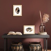 image:imageAmericanflat 11x14 Picture Frame with ShatterResistant Glass  Use as 8x10 Frame with Mat or Display 11x14 Photo Without Mat  Signature Collection  Picture Frames for Wall Display  Driftwood  Engineered Wood construction Shatterresistant glass hangs vertical or horizontal sawtooth hangers includedNatural Oak