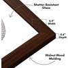 image:imageAmericanflat 11x14 Picture Frame with ShatterResistant Glass  Use as 8x10 Frame with Mat or Display 11x14 Photo Without Mat  Signature Collection  Picture Frames for Wall Display  Driftwood  Engineered Wood construction Shatterresistant glass hangs vertical or horizontal sawtooth hangers includedWalnut