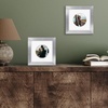 image:imageAmericanflat 11x14 Picture Frame with ShatterResistant Glass  Use as 8x10 Frame with Mat or Display 11x14 Photo Without Mat  Signature Collection  Picture Frames for Wall Display  Driftwood  Engineered Wood construction Shatterresistant glass hangs vertical or horizontal sawtooth hangers includedSilver