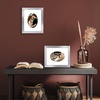 image:imageAmericanflat 11x14 Picture Frame with ShatterResistant Glass  Use as 8x10 Frame with Mat or Display 11x14 Photo Without Mat  Signature Collection  Picture Frames for Wall Display  Driftwood  Engineered Wood construction Shatterresistant glass hangs vertical or horizontal sawtooth hangers includedSilver