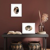 image:imageAmericanflat 11x14 Picture Frame with ShatterResistant Glass  Use as 8x10 Frame with Mat or Display 11x14 Photo Without Mat  Signature Collection  Picture Frames for Wall Display  Driftwood  Engineered Wood construction Shatterresistant glass hangs vertical or horizontal sawtooth hangers includedWhite