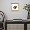 image:imageAmericanflat 11x14 Picture Frame with ShatterResistant Glass  Use as 8x10 Frame with Mat or Display 11x14 Photo Without Mat  Signature Collection  Picture Frames for Wall Display  Driftwood  Engineered Wood construction Shatterresistant glass hangs vertical or horizontal sawtooth hangers includedGold