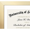 image:imageAmericanflat 11x16 Graduation Frame  ShatterResistant Glass  Fits 85x11 Diplomas with Tassel Opening  Engineered Wood Diploma Frame with Tassel Holder for Wall Display  DriftwoodGold