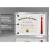 image:imageAmericanflat 11x16 Graduation Frame  ShatterResistant Glass  Fits 85x11 Diplomas with Tassel Opening  Engineered Wood Diploma Frame with Tassel Holder for Wall Display  DriftwoodSilver