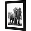 image:imageAmericanflat 5x7 Picture Frame with ShatterResistant Glass  Set of 2  Use as 4x6 Frame with Mat or Display 5x7 Photo Without Mat  Signature Collection  Picture Frames for Tabletop or Wall  BlackBlack