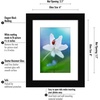 image:imageAmericanflat 5x7 Picture Frame with ShatterResistant Glass  Set of 2  Use as 4x6 Frame with Mat or Display 5x7 Photo Without Mat  Signature Collection  Picture Frames for Tabletop or Wall  BlackBlack