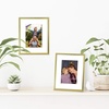 image:imageAmericanflat 8x10 Picture Frame with ShatterResistant Glass  Use as 5x7 Frame with Mat or Display 8x10 Photo Without Mat  Streamline Collection  Picture Frames for Tabletop and Wall  Gold  Shatterresistant glass wall or tabletop display with included easel triangle hangers included secure turntab backingGold