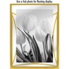 image:imageAmericanflat Modern Metal 5x7 Picture Frame in Gold  Use as Floating Frame for 4x6 Picture  Painted Iron with Shatter Resistant Glass  Horizontal and Vertical Formats for Tabletop DisplayGold