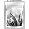 image:imageAmericanflat Modern Metal 5x7 Picture Frame in Gold  Use as Floating Frame for 4x6 Picture  Painted Iron with Shatter Resistant Glass  Horizontal and Vertical Formats for Tabletop DisplaySilver