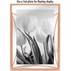 image:imageAmericanflat Modern Metal 5x7 Picture Frame in Gold  Use as Floating Frame for 4x6 Picture  Painted Iron with Shatter Resistant Glass  Horizontal and Vertical Formats for Tabletop DisplayRose Gold
