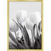 image:imageAmericanflat Modern Metal 5x7 Picture Frame in Gold  Use as Floating Frame for 4x6 Picture  Painted Iron with Shatter Resistant Glass  Horizontal and Vertical Formats for Tabletop DisplayGold