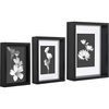 image:imageAmericanflat 8x12 Picture Frame with ShatterResistant Glass  Signature Collection  GalleryStyle Frames Made of Engineered Wood  Photo Frame for Tabletop and Wall Display  Dark Oak8X10