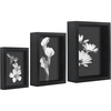 image:imageAmericanflat 8x12 Picture Frame with ShatterResistant Glass  Signature Collection  GalleryStyle Frames Made of Engineered Wood  Photo Frame for Tabletop and Wall Display  Dark Oak6x8