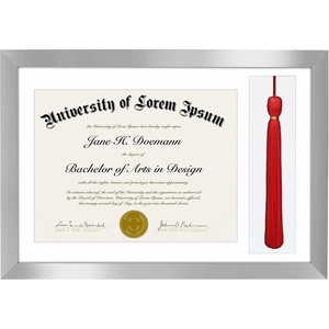 image:imageAmericanflat 11x16 Graduation Frame  ShatterResistant Glass  Fits 85x11 Diplomas with Tassel Opening  Engineered Wood Diploma Frame with Tassel Holder for Wall Display  DriftwoodSilver