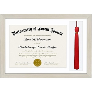 image:imageAmericanflat 11x16 Graduation Frame  ShatterResistant Glass  Fits 85x11 Diplomas with Tassel Opening  Engineered Wood Diploma Frame with Tassel Holder for Wall Display  DriftwoodLight Wood