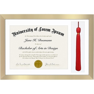 image:imageAmericanflat 11x16 Graduation Frame  ShatterResistant Glass  Fits 85x11 Diplomas with Tassel Opening  Engineered Wood Diploma Frame with Tassel Holder for Wall Display  DriftwoodGold