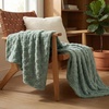 image:imageAmericanflat 50x60 Throw Blanket  Soft and Breathable Cotton Throw Blanket for Couch Bed Chair  Decorative Blankets Perfect for Home or Outdoor Use  Cloud Grey and White Mini Diamond DesignGreen