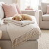 image:imageAmericanflat 50x60 Throw Blanket  Soft and Breathable Cotton Throw Blanket for Couch Bed Chair  Decorative Blankets Perfect for Home or Outdoor Use  Navy Blue and White Herringbone DesignZaina Cream Herringbone