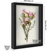 image:imageAmericanflat 11x11 Shadow Box Frame with ShatterResistant Glass  Silhouette Collection  Large Shadow Box Display Case for Tabletop and Wall Display  White with Soft Felt Back  Shatterresistant glass 15 inch interior depth displays keepsakes medals and memorabilia sawtooth hangers includedBlack