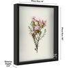 image:imageAmericanflat 11x11 Shadow Box Frame with ShatterResistant Glass  Silhouette Collection  Large Shadow Box Display Case for Tabletop and Wall Display  White with Soft Felt Back  Shatterresistant glass 15 inch interior depth displays keepsakes medals and memorabilia sawtooth hangers includedBlack
