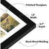 image:imageAmericanflat 16x20 Collage Picture Frame  Engineered Wood  Black  Polished plexiglass front sawtooth hangers included secure turntab backing fits photos posters and artBlack