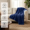 image:imageAmericanflat 50x60 Faux Fur Throw Blanket  Soft and Breathable Throw Blanket for Couch Bed Chair  Green Faux Fur Blankets Perfect for Home Bedroom or Outdoor UseBlue