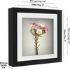 image:imageAmericanflat 11x14 Shadow Box Frame  Matted to 9x12  Driftwood  Shatterresistant glass 15 inch interior depth hangs vertical or horizontal displays keepsakes medals and memorabiliaBlack