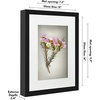 image:imageAmericanflat 11x14 Shadow Box Frame  Matted to 9x12  Driftwood  Shatterresistant glass 15 inch interior depth hangs vertical or horizontal displays keepsakes medals and memorabiliaBlack