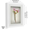 image:imageAmericanflat 11x14 Shadow Box Frame  Matted to 9x12  Driftwood  Shatterresistant glass 15 inch interior depth hangs vertical or horizontal displays keepsakes medals and memorabiliaWhite