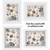 image:imageAmericanflat 11x14 Shadow Box Frame  Matted to 9x12  Driftwood  Shatterresistant glass 15 inch interior depth hangs vertical or horizontal displays keepsakes medals and memorabiliaWhite